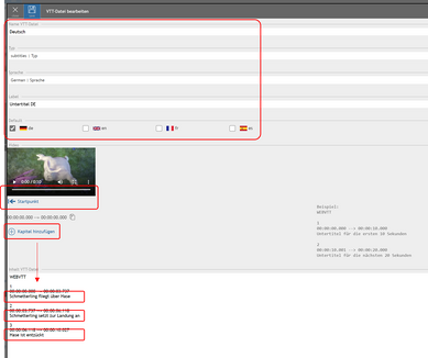 Untertitel setzen web
